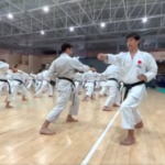 Lorem ipsum dolor sit